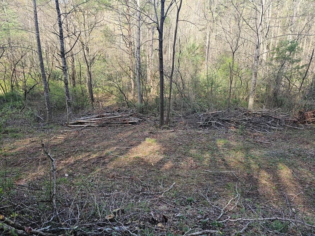 20561 Joe Brown Highway, MURPHY, North Carolina image 30