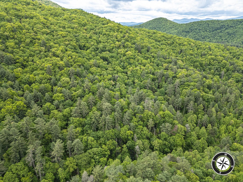 20561 Joe Brown Highway, MURPHY, North Carolina image 22