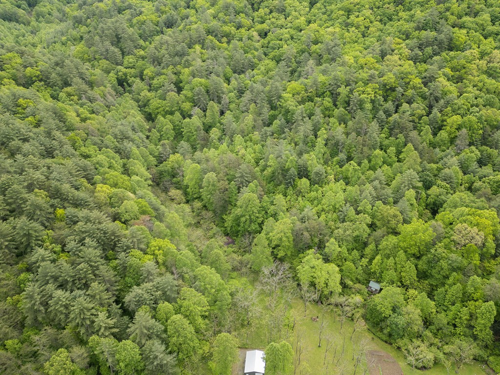 20561 Joe Brown Highway, MURPHY, North Carolina image 13