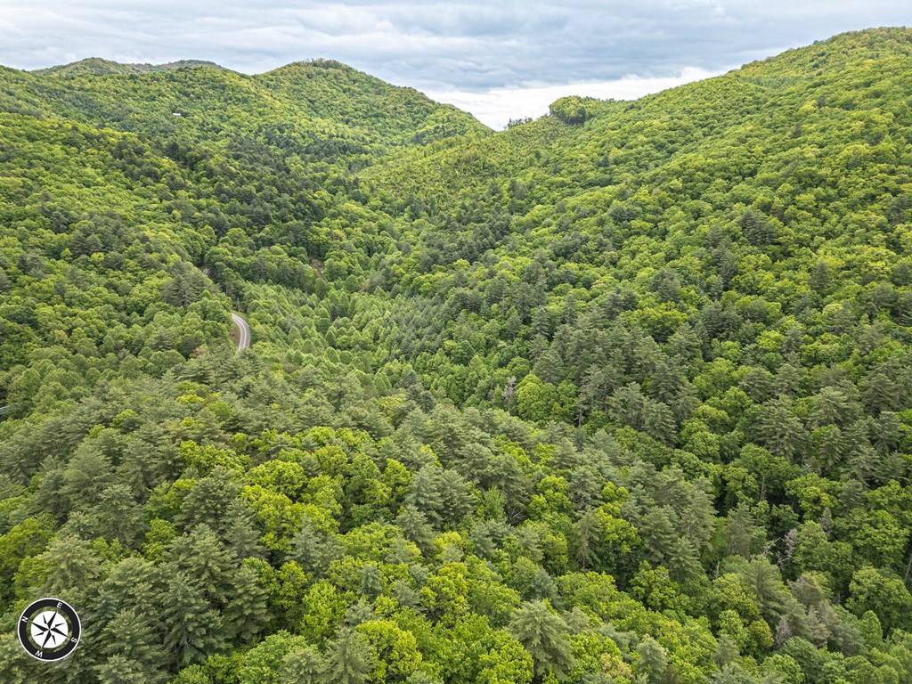 20561 Joe Brown Highway, MURPHY, North Carolina image 17