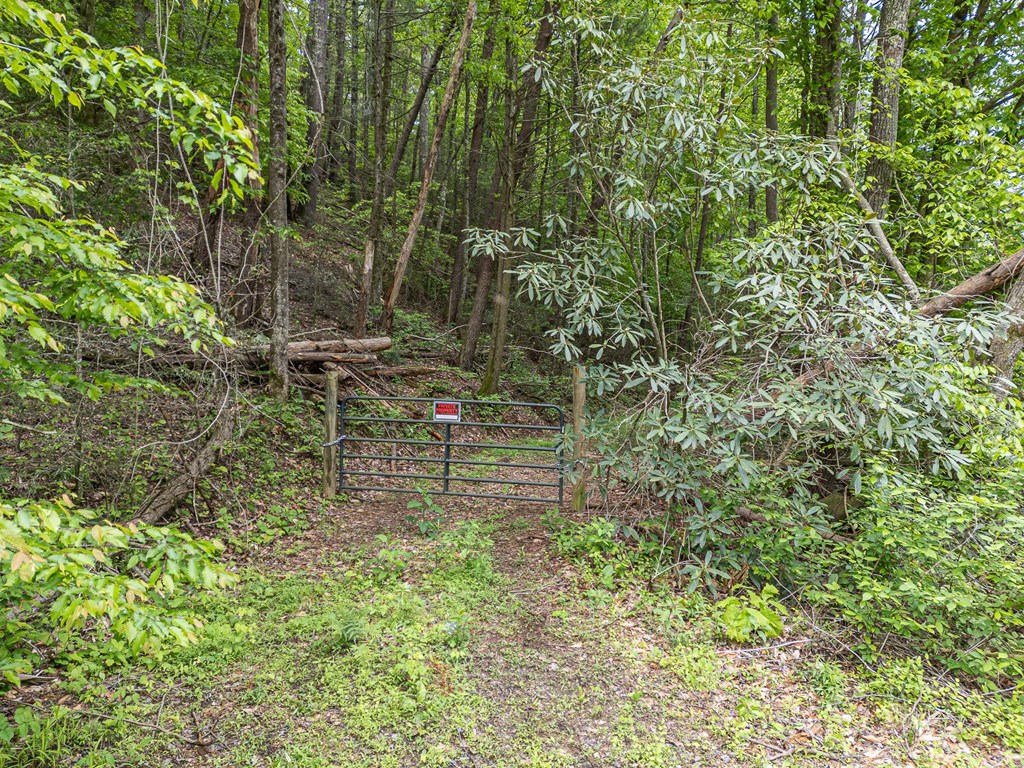 20561 Joe Brown Highway, MURPHY, North Carolina image 25