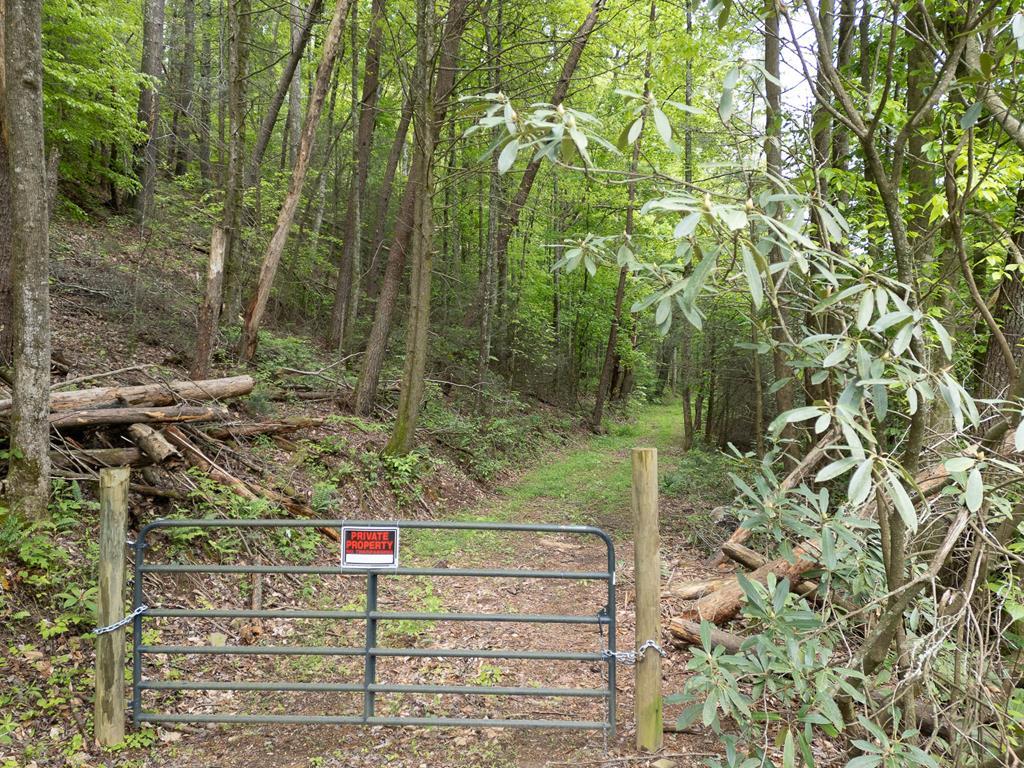 20561 Joe Brown Highway, MURPHY, North Carolina image 2