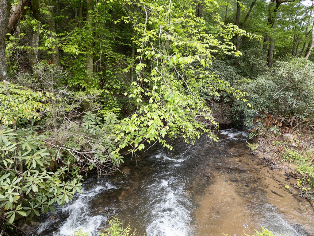 20561 Joe Brown Highway, MURPHY, North Carolina image 24