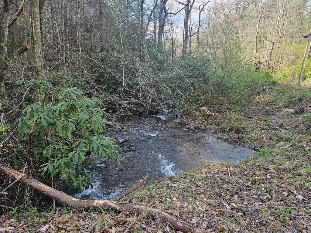 20561 Joe Brown Highway, MURPHY, North Carolina image 27