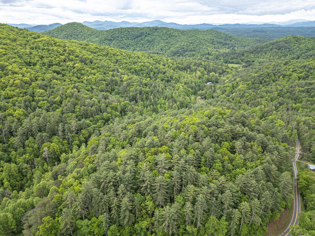 20561 Joe Brown Highway, MURPHY, North Carolina image 20