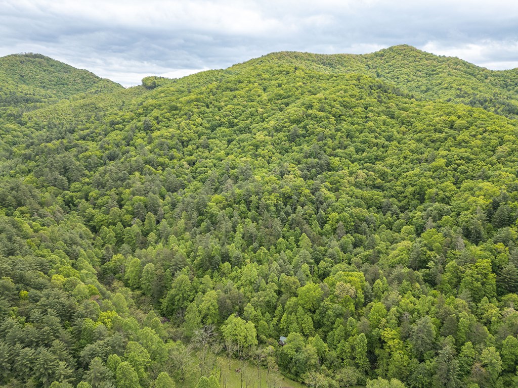 20561 Joe Brown Highway, MURPHY, North Carolina image 14