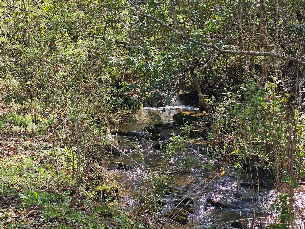 20561 Joe Brown Highway, MURPHY, North Carolina image 36