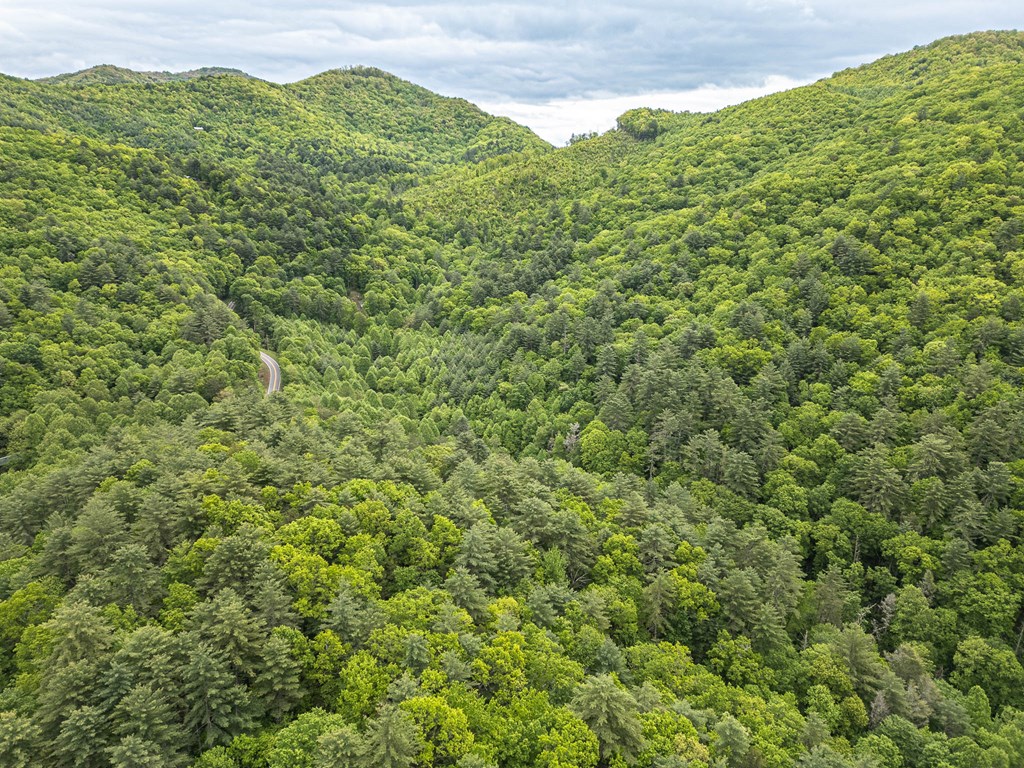 20561 Joe Brown Highway, MURPHY, North Carolina image 18