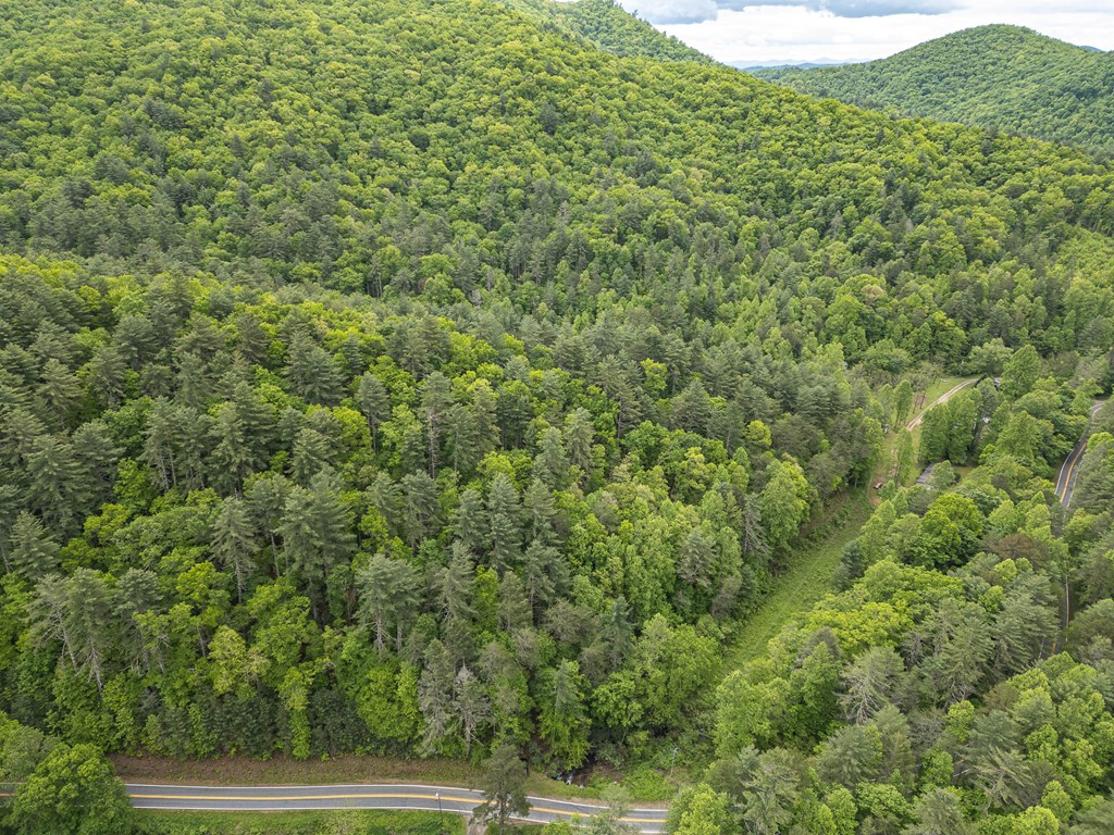 20561 Joe Brown Highway, MURPHY, North Carolina image 10