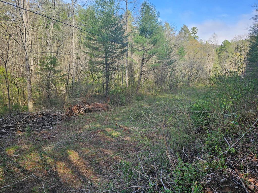 20561 Joe Brown Highway, MURPHY, North Carolina image 31