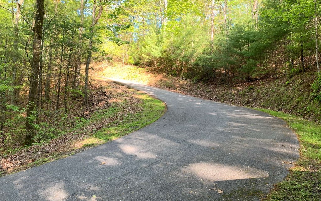 Lot 44 Fires Creek Cove, HAYESVILLE, North Carolina image 18