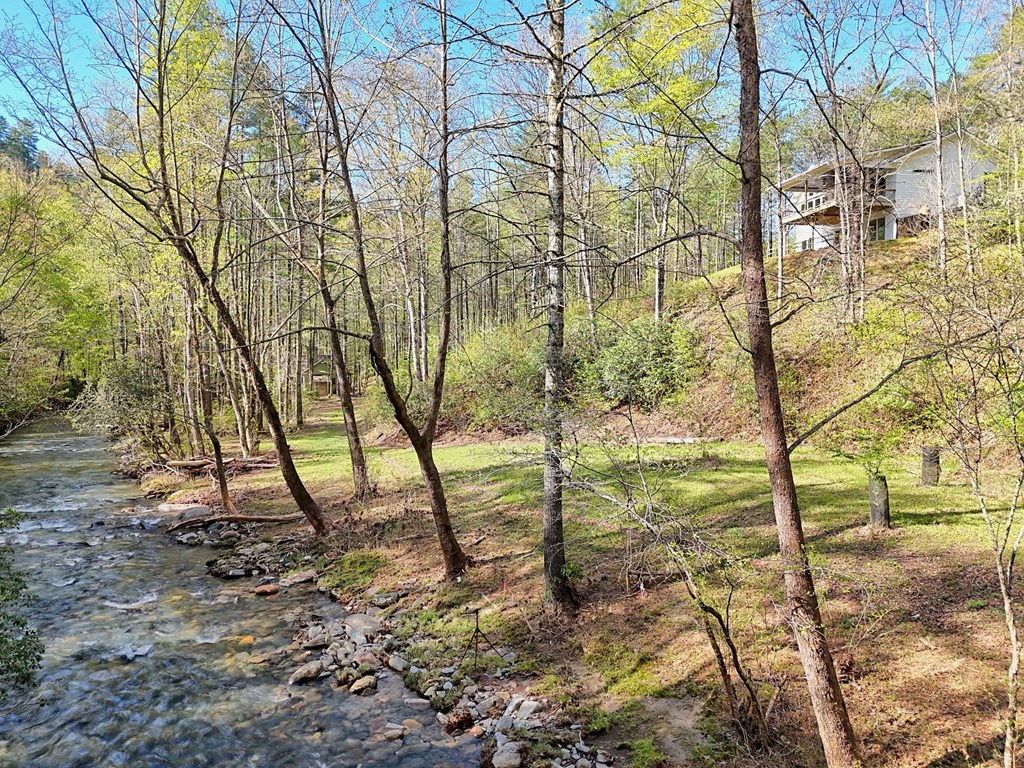 1624 Fires Creek Wildlife Road, HAYESVILLE, North Carolina image 8