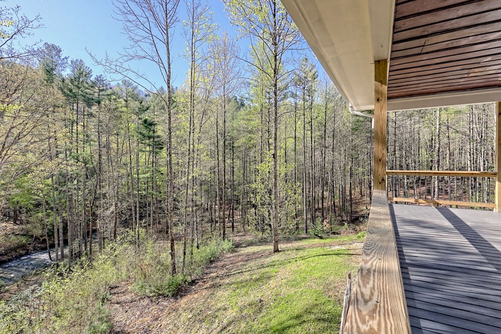 1624 Fires Creek Wildlife Road, HAYESVILLE, North Carolina image 22