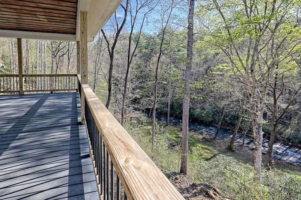 1624 Fires Creek Wildlife Road, HAYESVILLE, North Carolina image 21
