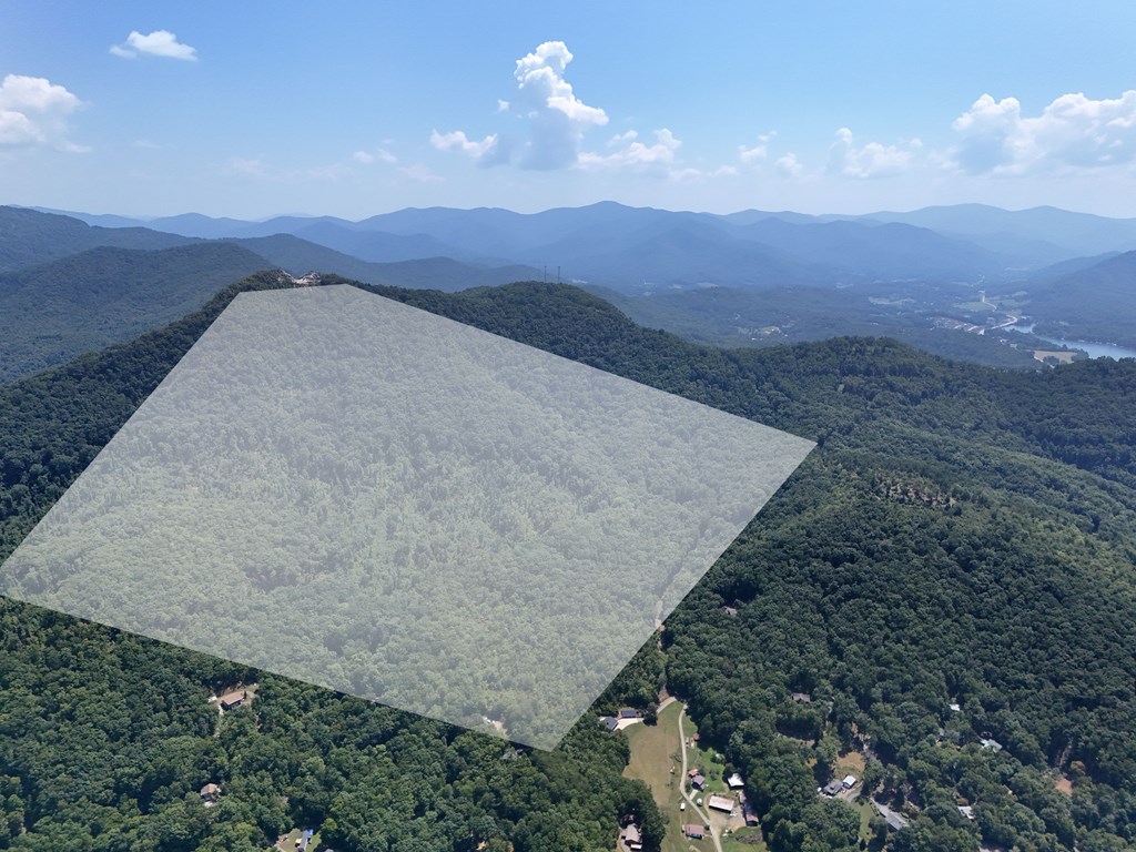 145 Acre Bell Mountain, HIAWASSEE, Georgia image 32