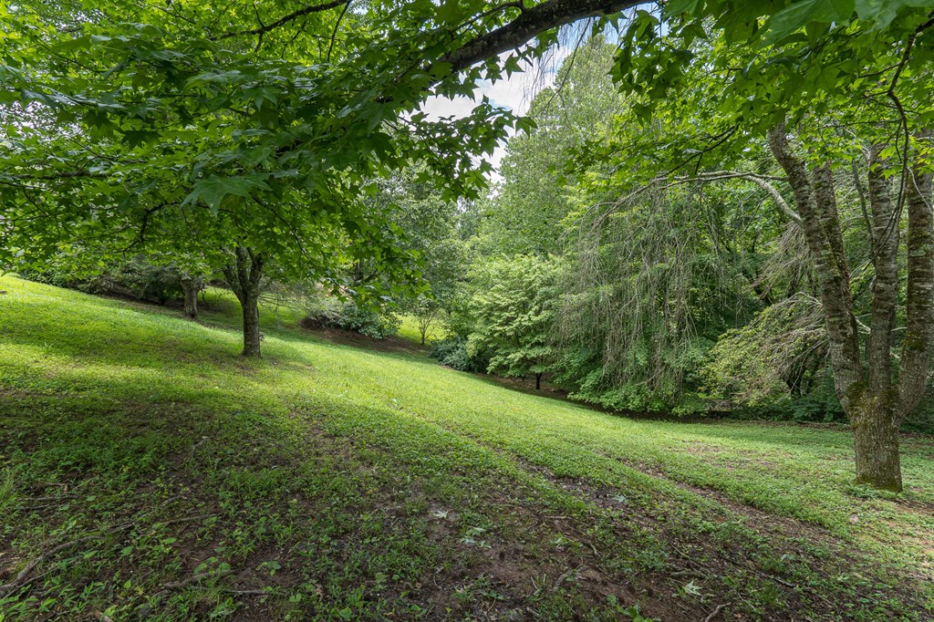 329 Chalet Cir, MURPHY, North Carolina image 38