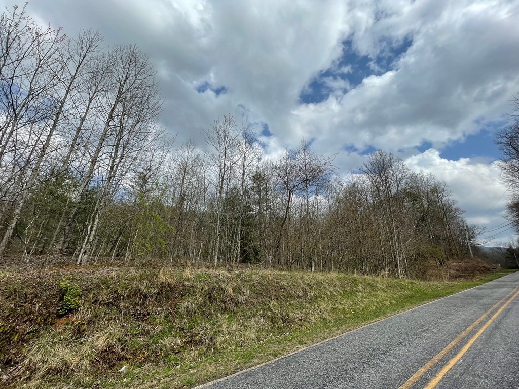 12.1Ac Laurel Branch Road, HAYESVILLE, North Carolina image 13