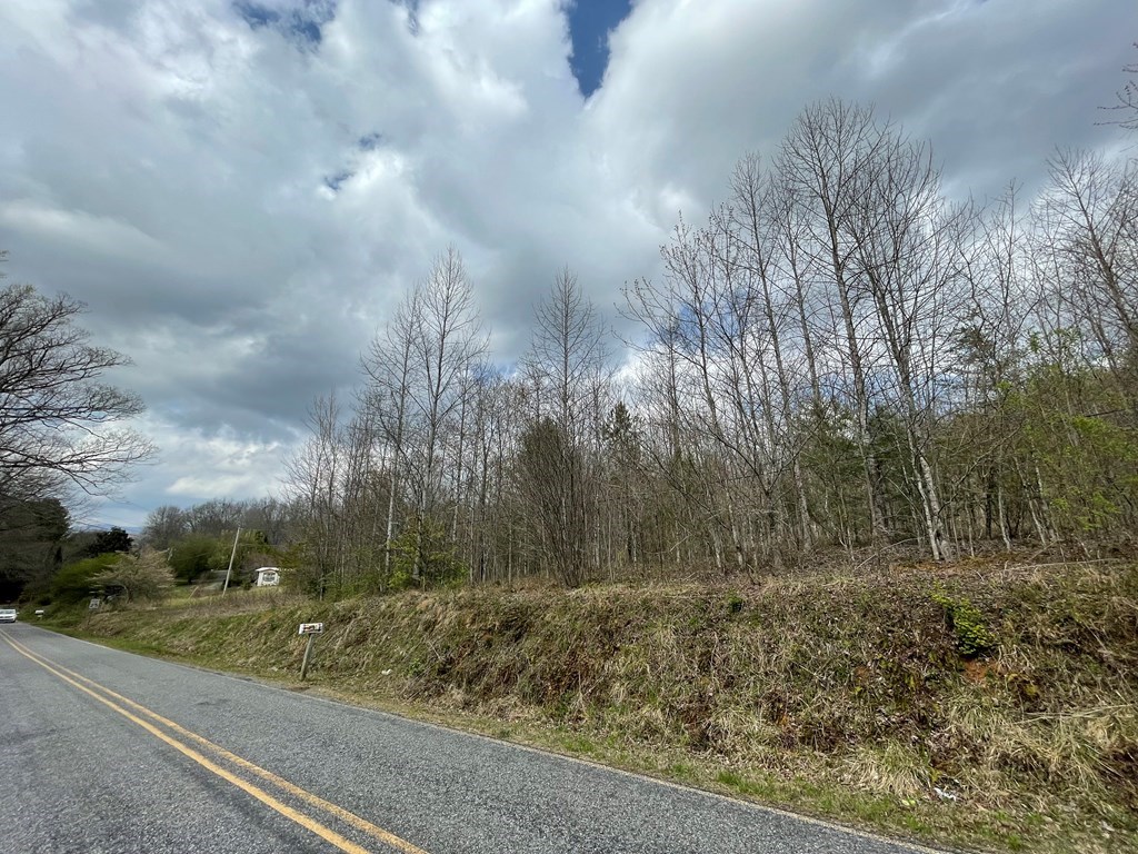 12.1Ac Laurel Branch Road, HAYESVILLE, North Carolina image 15