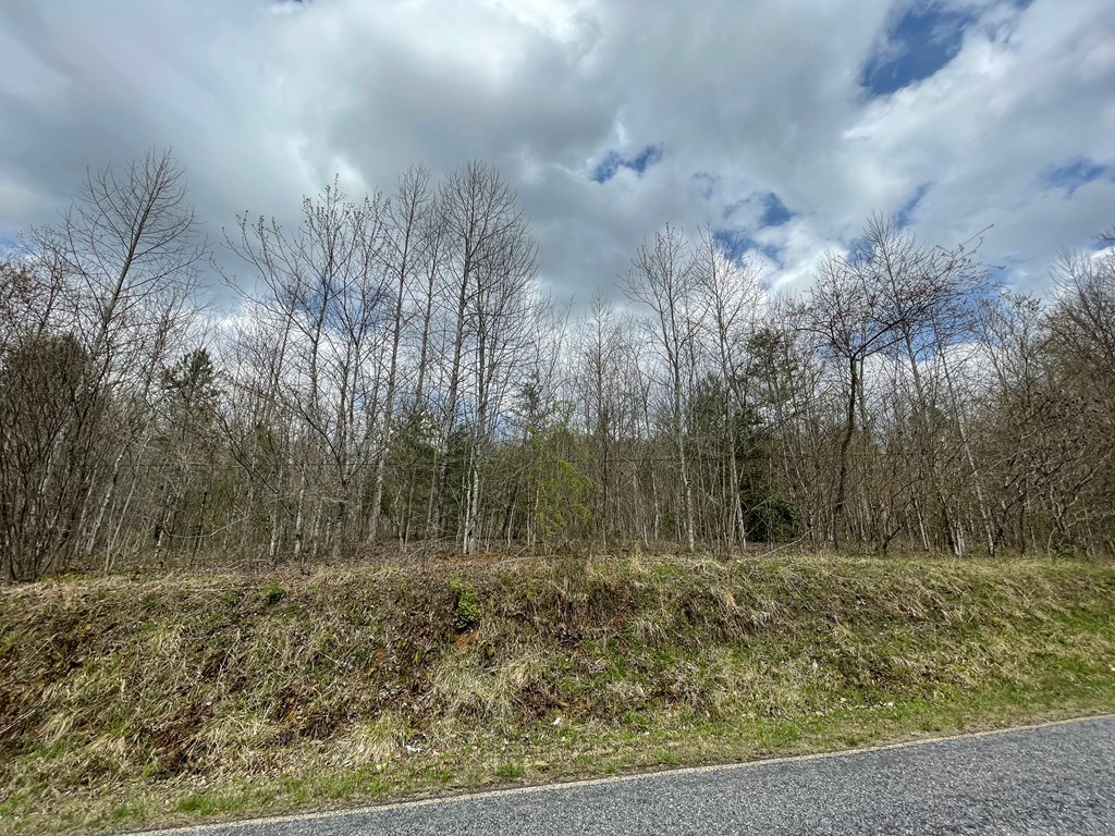 12.1Ac Laurel Branch Road, HAYESVILLE, North Carolina image 14