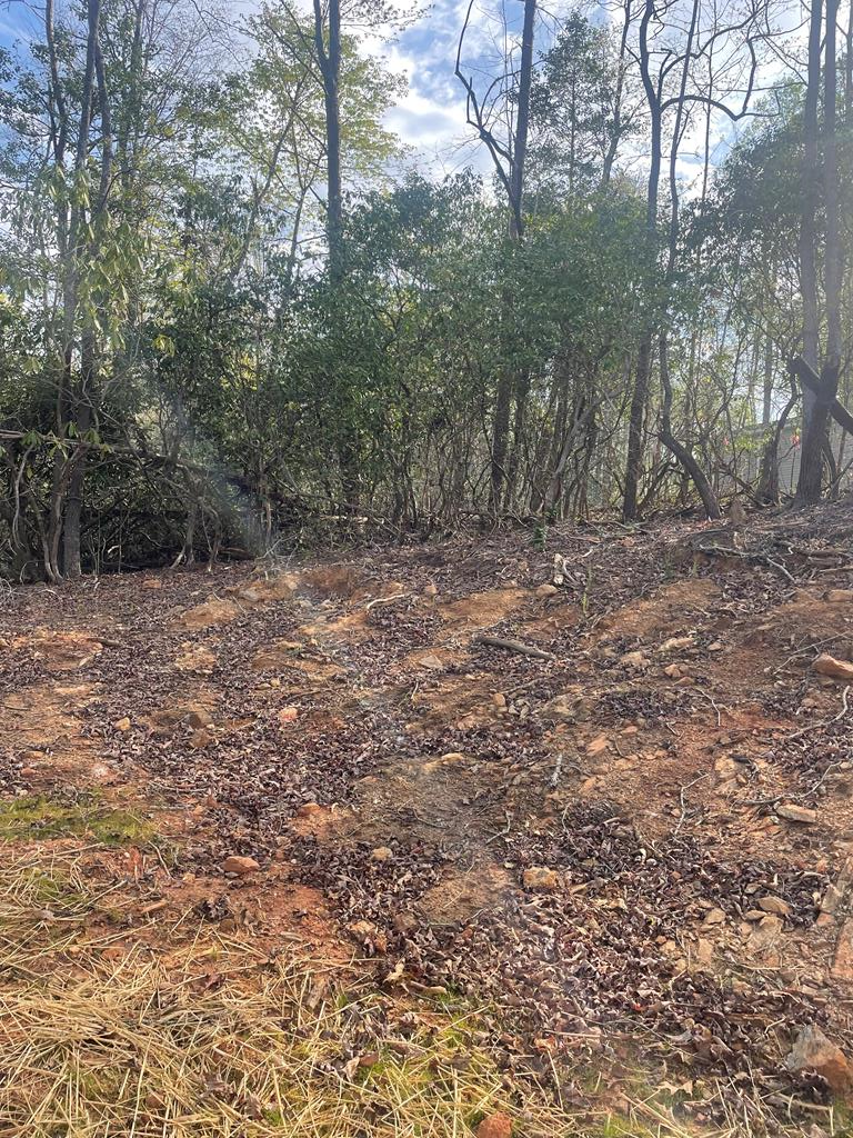 195 Loganberry Ln, HAYESVILLE, North Carolina image 19