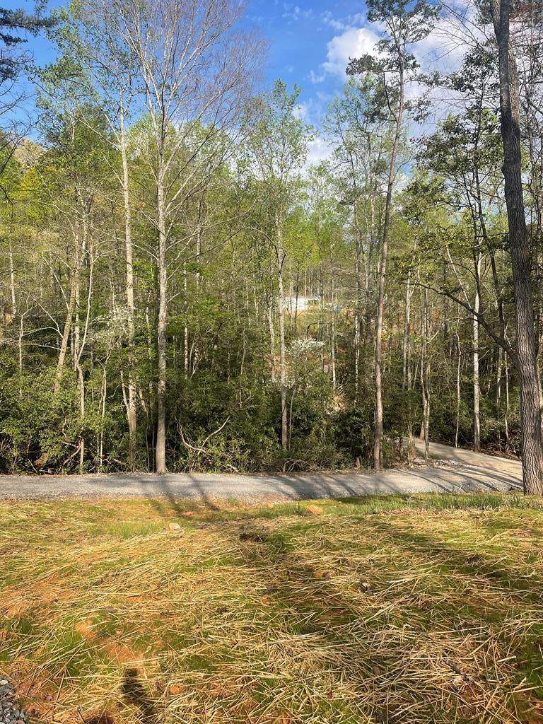 195 Loganberry Ln, HAYESVILLE, North Carolina image 17