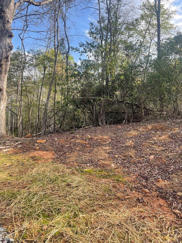 195 Loganberry Ln, HAYESVILLE, North Carolina image 18