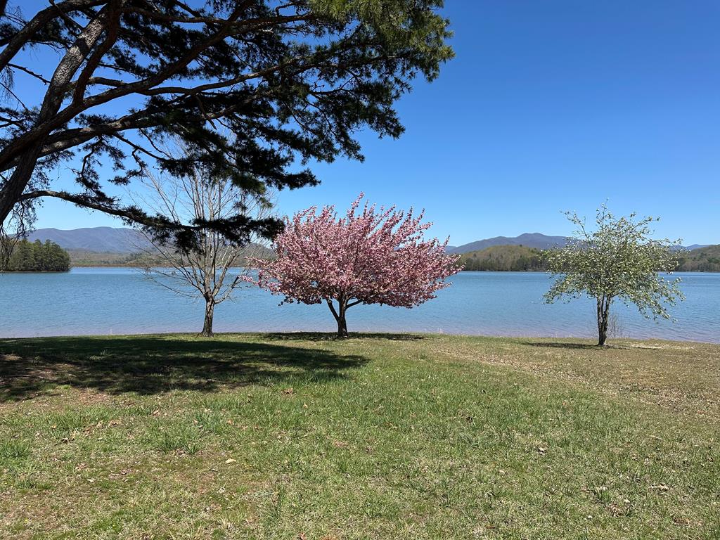195 Loganberry Ln, HAYESVILLE, North Carolina image 16