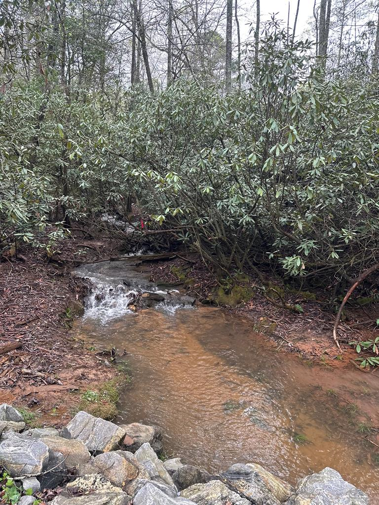 195 Loganberry Ln, HAYESVILLE, North Carolina image 14
