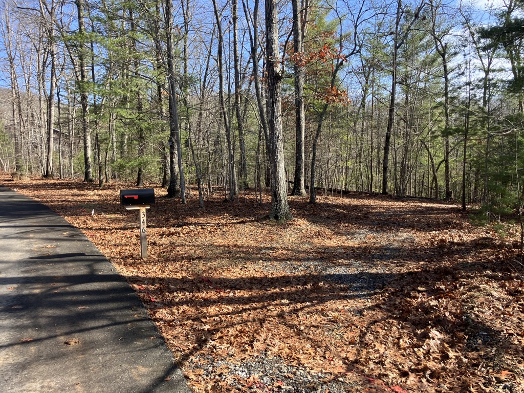 346 Mission Ridge Drive, HAYESVILLE, North Carolina image 3