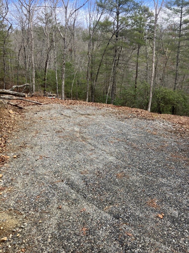346 Mission Ridge Drive, HAYESVILLE, North Carolina image 2