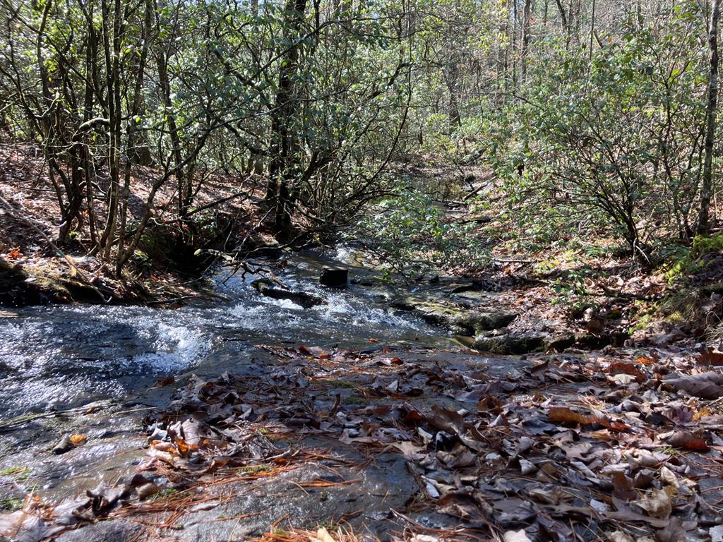 346 Mission Ridge Drive, HAYESVILLE, North Carolina image 1