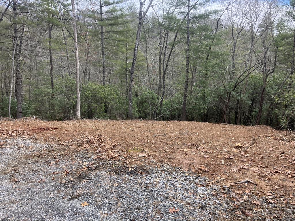 346 Mission Ridge Drive, HAYESVILLE, North Carolina image 1