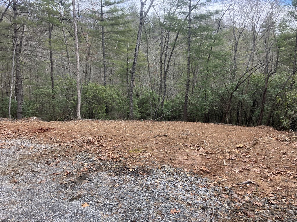 346 Mission Ridge Drive, HAYESVILLE, North Carolina image 10