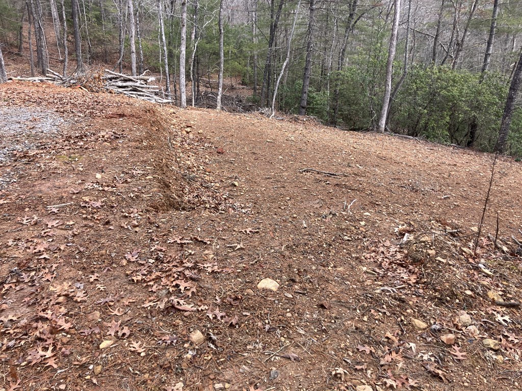 346 Mission Ridge Drive, HAYESVILLE, North Carolina image 4