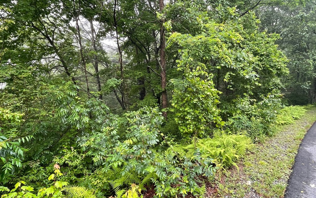 Lot 7 Trillium Heights #7, HAYESVILLE, North Carolina image 10