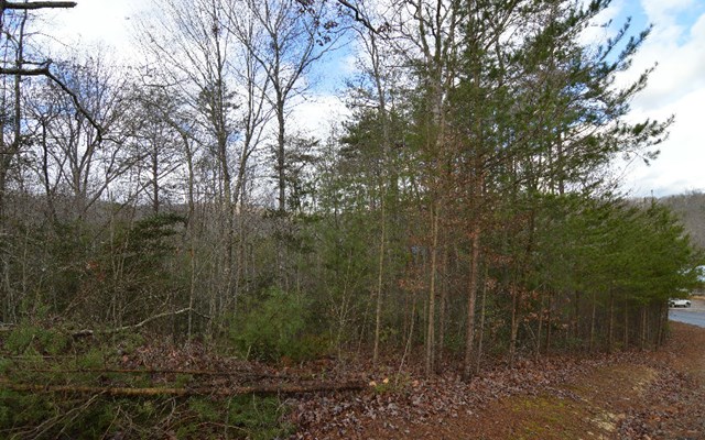 Lot 48 Laurel Brook #48, BLAIRSVILLE, Georgia image 5