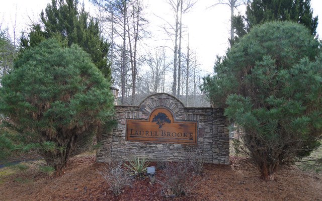 Lot 48 Laurel Brook #48, BLAIRSVILLE, Georgia image 2