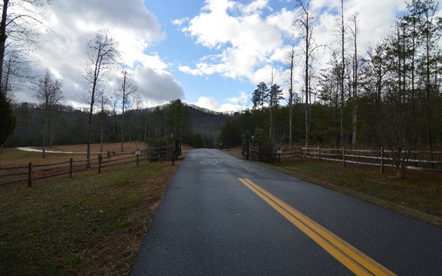 Lot 48 Laurel Brook #48, BLAIRSVILLE, Georgia image 3