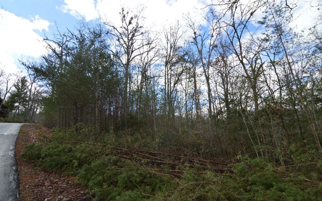 Lot 48 Laurel Brook #48, BLAIRSVILLE, Georgia image 6