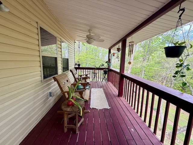 329 Tommys Lane, MURPHY, North Carolina image 10