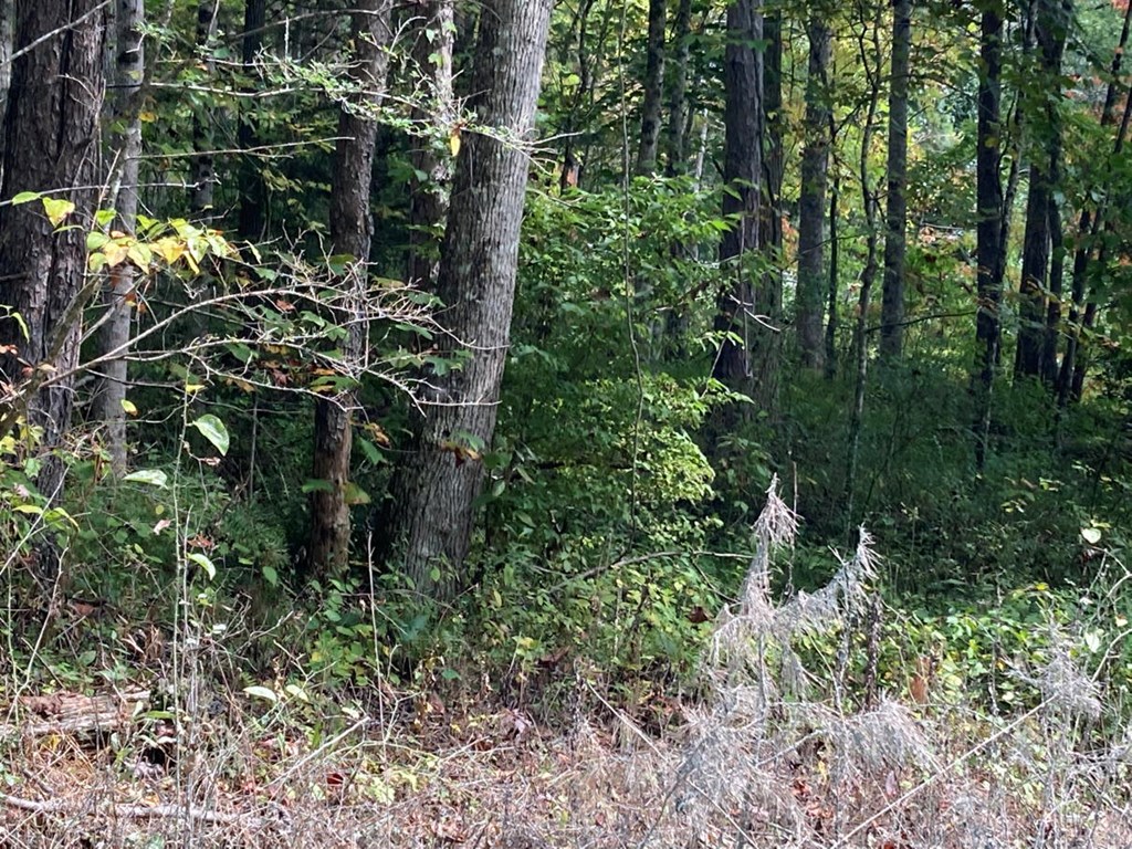 11 Mountain View Trail #11, MURPHY, North Carolina image 11