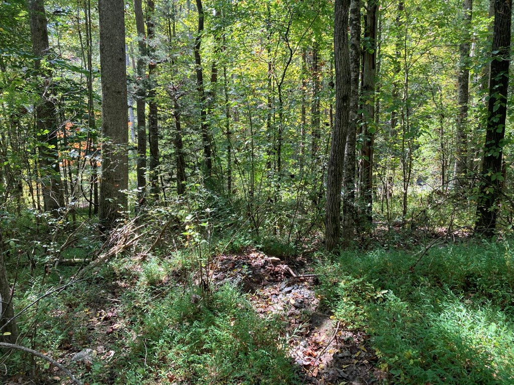 11 Mountain View Trail #11, MURPHY, North Carolina image 5