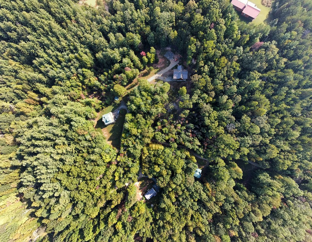 TBD Leisure Way #15, MORGANTON, Georgia image 10