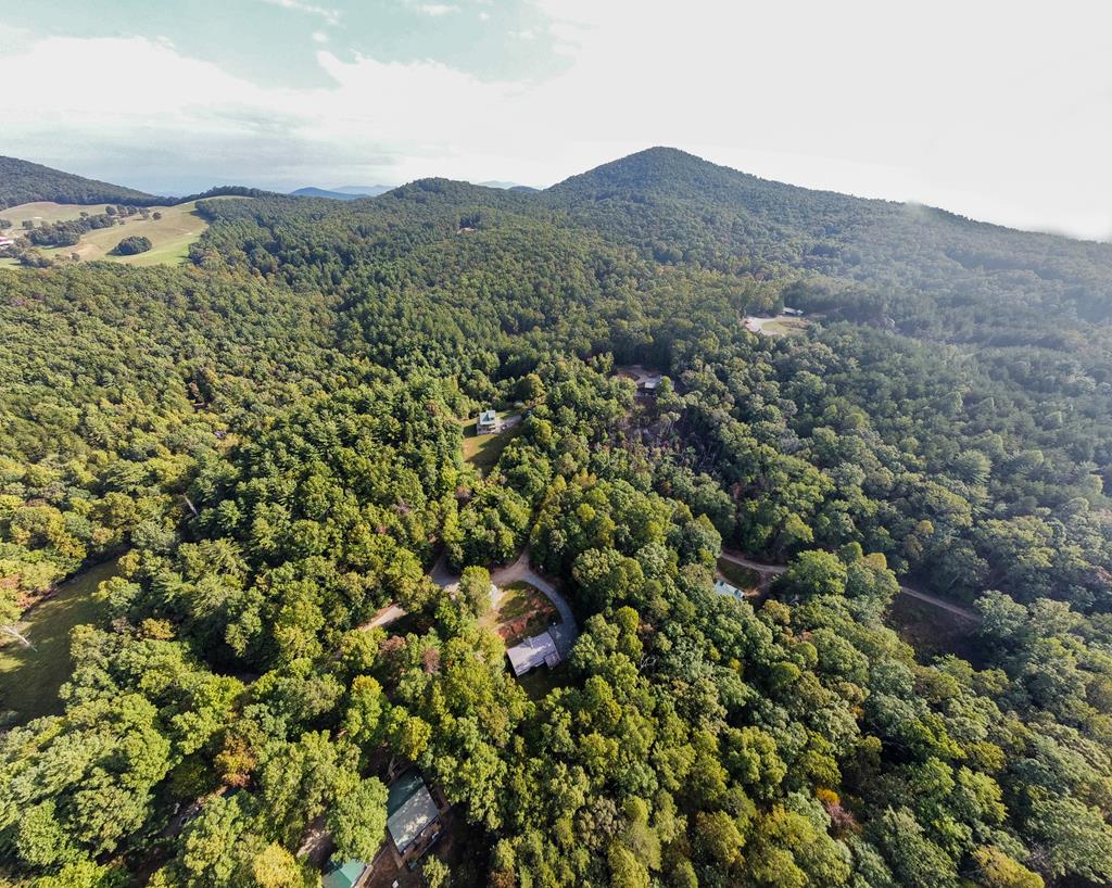 TBD Leisure Way #15, MORGANTON, Georgia image 14