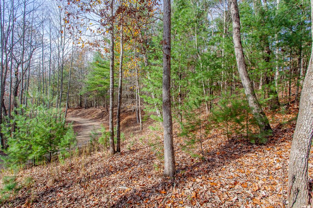 TBD Leisure Way #15, MORGANTON, Georgia image 26