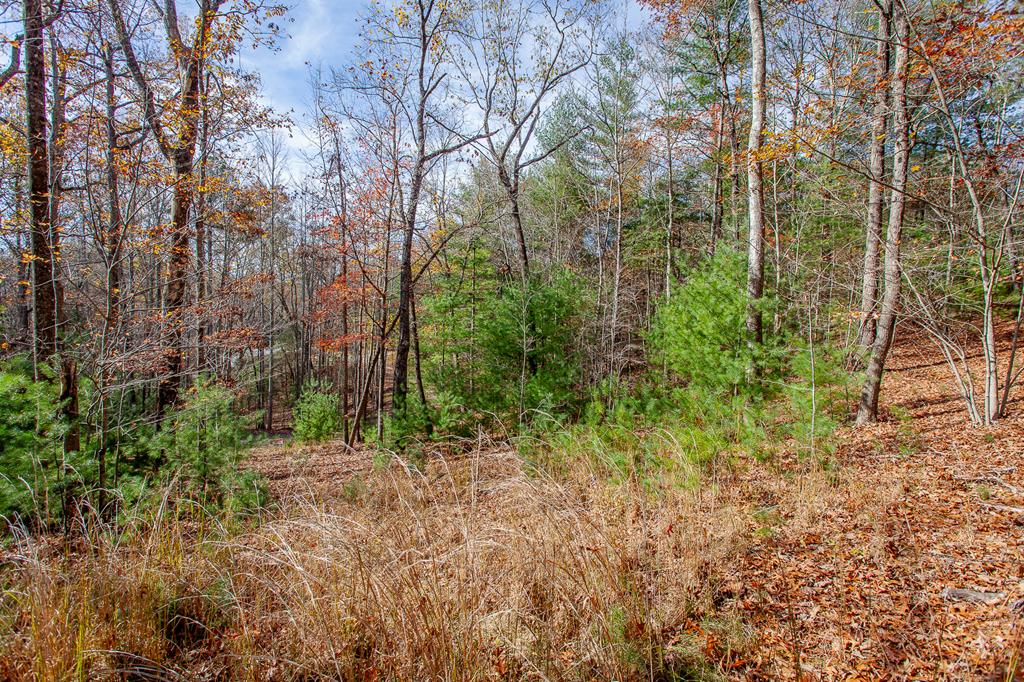 TBD Leisure Way #15, MORGANTON, Georgia image 23