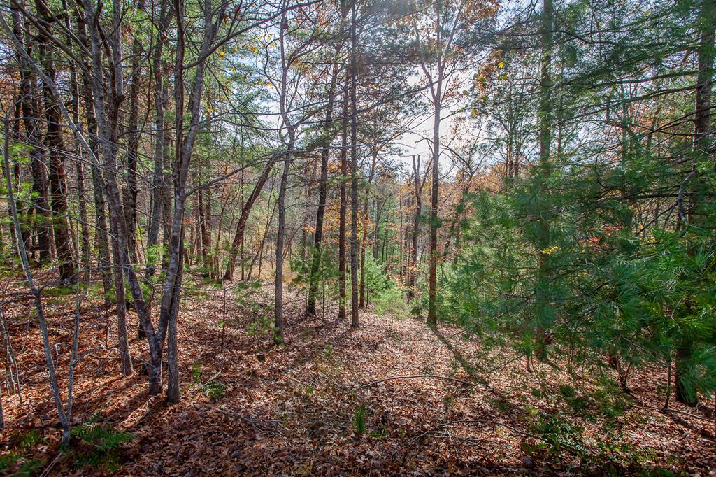 TBD Leisure Way #15, MORGANTON, Georgia image 21