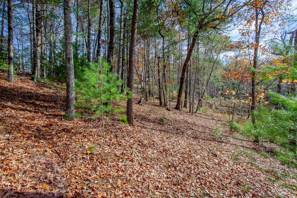 TBD Leisure Way #15, MORGANTON, Georgia image 22