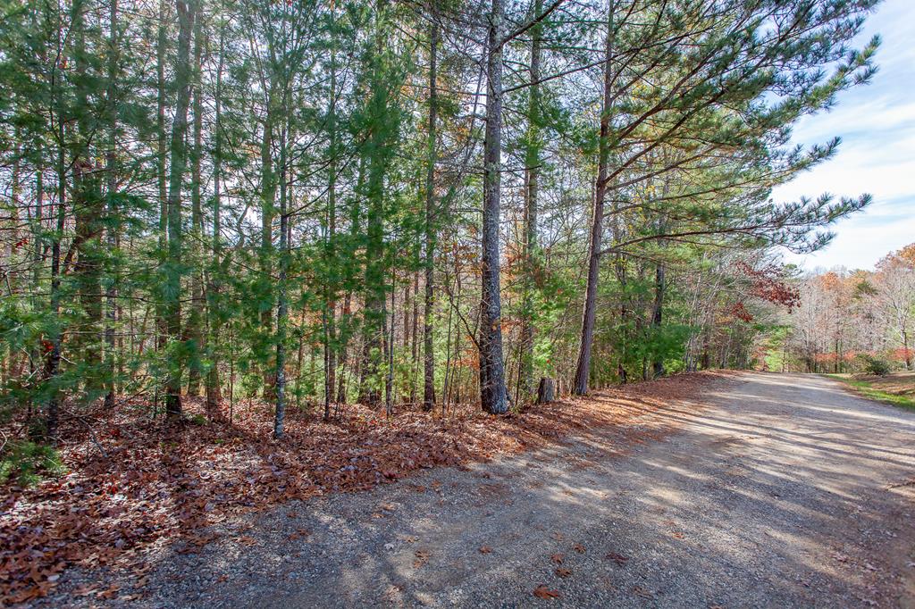 TBD Leisure Way #15, MORGANTON, Georgia image 20