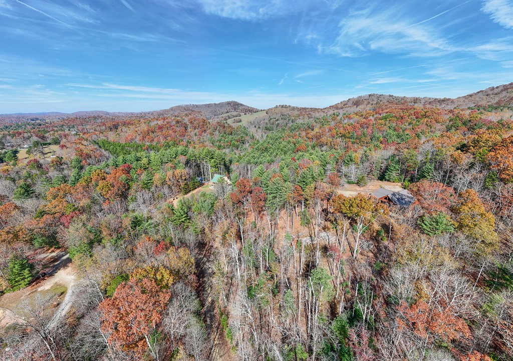 TBD Leisure Way #15, MORGANTON, Georgia image 4